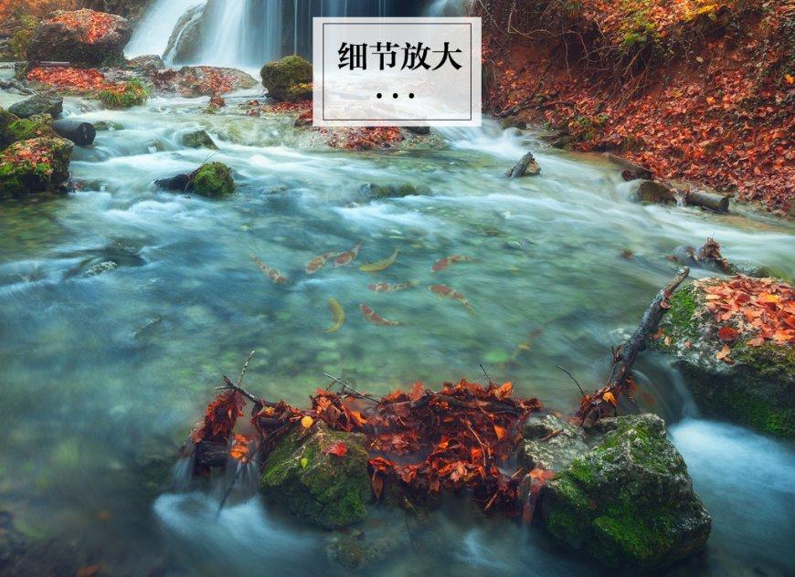 投篮时动作标准是什么？